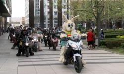 Najljepša osječka uskršnja tradicija – moto zeke ponovno jašu!