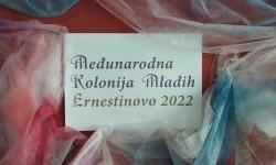 Devet radionica za polaznike 19. međunarodne kolonije mladih