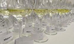 Potrebno je povećati i standardizirati proizvodnju rakije