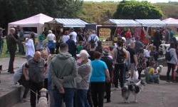 U vlastitu obitelj prosječno ode između 300 i 350 pasa godišnj