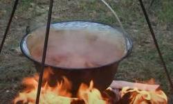 12. Fišijada u Punitovcima okupila više od 50 strastvenih ekipa