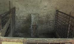 Zbog masovne eutanazije svinja Jagodnjak još uvijek kipti!