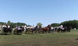 15 godina svatovskih zaprega kroz Baranju