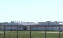 Alarmantna situacija s afričkom svinjskom kugom u OBŽ – potvrđen proboj virusa na farmi Belja