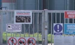 Stanje s afričkom svinjskom kugom i dalje alarmantno - krizni stožer raspravlja o novim mjerama