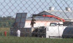 Afrička svinjska kuga otkrivena i u Dalju i naselju Mece