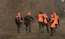 Lovci dobili rok do 1. studenog za potpuni odstrel divljih svinja