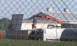 ''Je li afrička svinjska kuga izgovor za uništavanje domaće proizvodnje?''