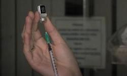 Počelo cijepljenje protiv gripe – besplatno za rizične skupine