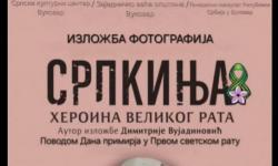 Pavliček traži odgodu izložbe 