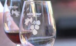 Večer vina u Perivoju u Našicama prvi put održana u ljetnom izdanju