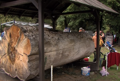 Našičani slave prirodne ljepote i plodove Slavonije
