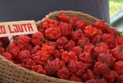 Paprikafest u Lugu: nema zabave bez dobre paprike