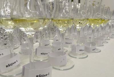 Potrebno je povećati i standardizirati proizvodnju rakije