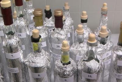 Na 20. Ocjenjivanju kvalitete rakija i ostalih alkoholnih pića i uzorci votke te citrusi