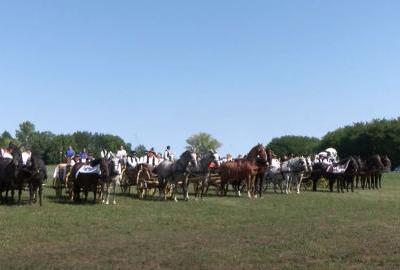15 godina svatovskih zaprega kroz Baranju