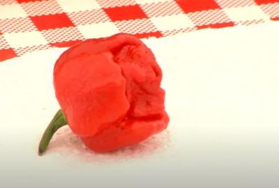 Vruće natjecanje na 27. Ribarskim danima u Kopačevu