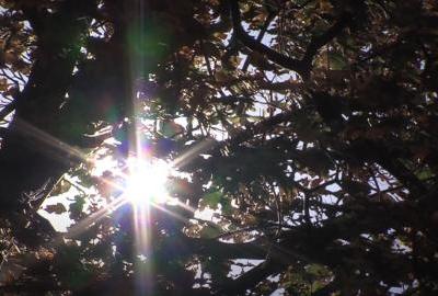 Osječani strepe od nižih temperatura i viših cijena režija