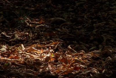 Za vikend ljetnih 30 stupnjeva