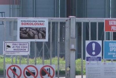 Stanje s afričkom svinjskom kugom i dalje alarmantno - krizni stožer raspravlja o novim mjerama