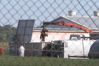 Afrička svinjska kuga otkrivena i u Dalju i naselju Mece