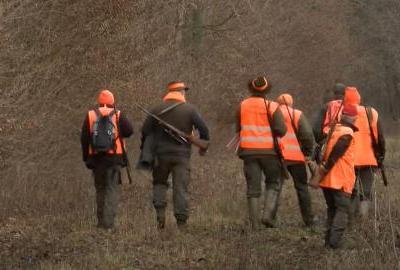 Lovci dobili rok do 1. studenog za potpuni odstrel divljih svinja