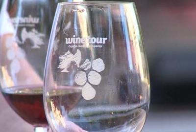 Večer vina u Perivoju u Našicama prvi put održana u ljetnom izdanju