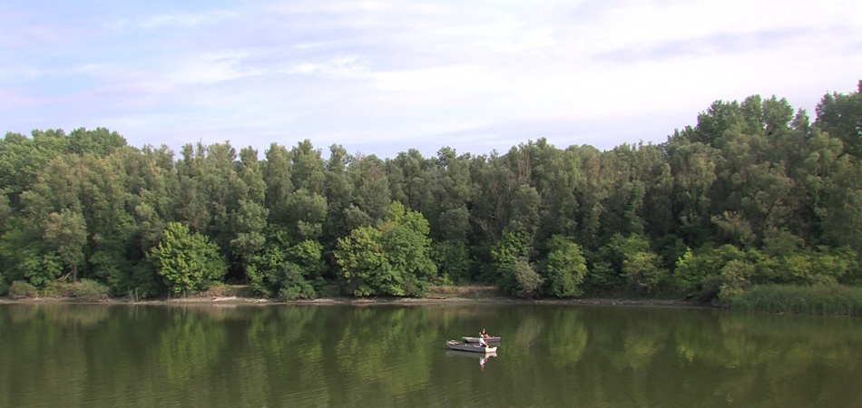 Stara Drava u Bilju spremna za Svjetsko prvenstvo u lovu ribe