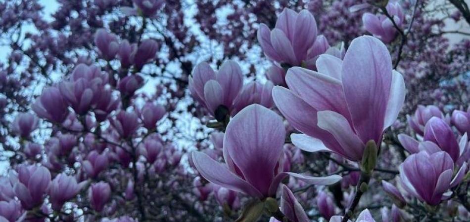 Proljeće je na svakom koraku, a iza nas je najtoplija zima u povijesti