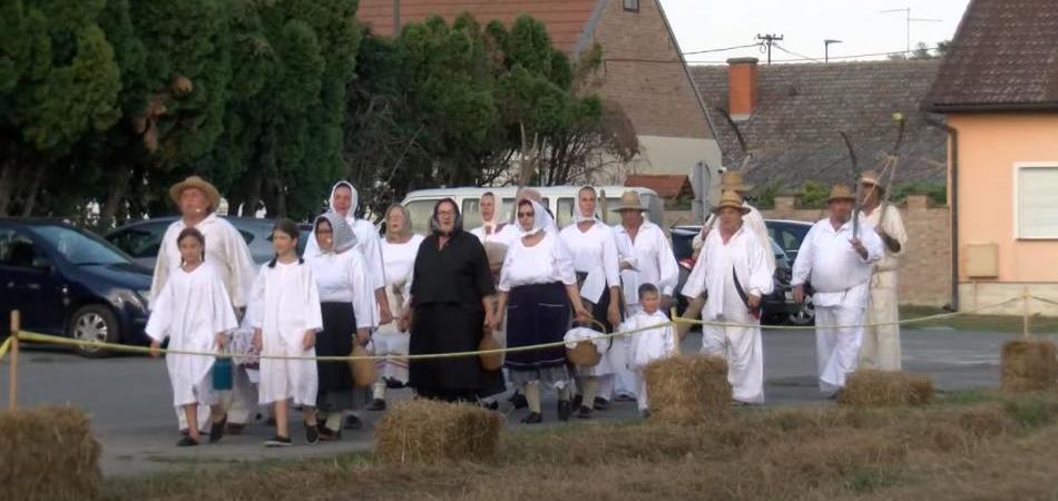 Prikaz starinske žetve u Petrijevcima po 30. puta