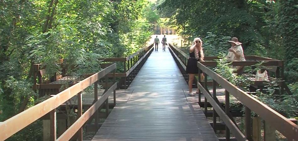 Obnovljen posljednji drveni most u vukovarskoj park šumi Adica