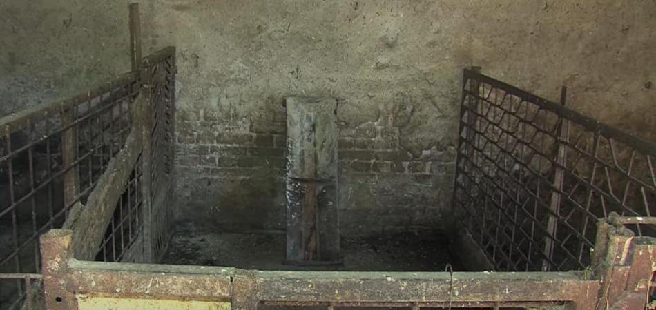 Zbog masovne eutanazije svinja Jagodnjak još uvijek kipti!