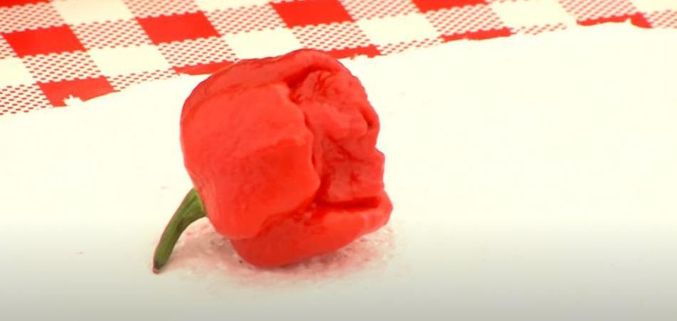 Vruće natjecanje na 27. Ribarskim danima u Kopačevu