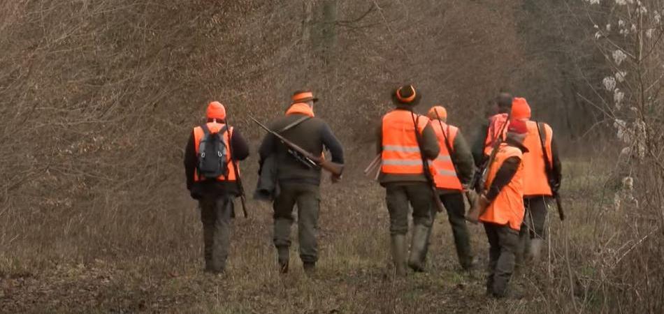 Lovci dobili rok do 1. studenog za potpuni odstrel divljih svinja