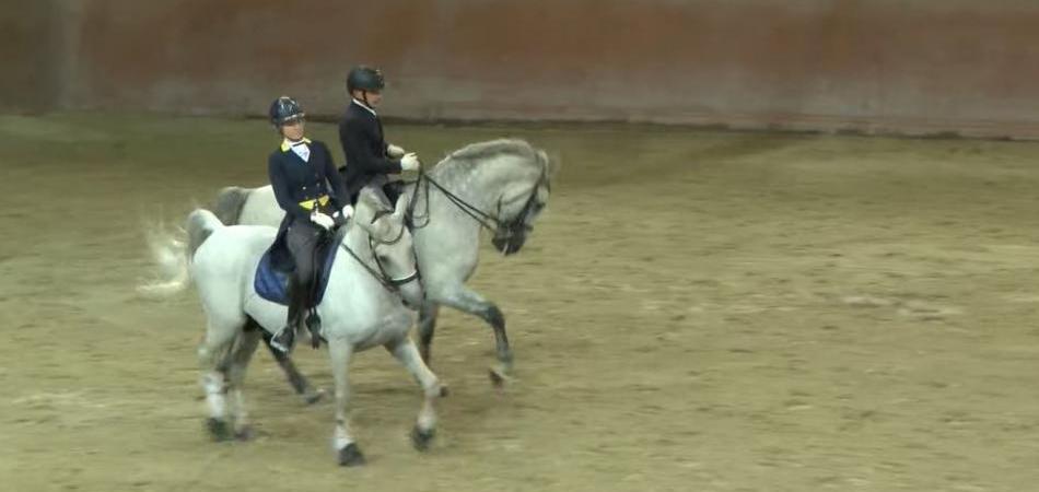 Đakovački lipicanci zaplesali u čast velikih obljetnica