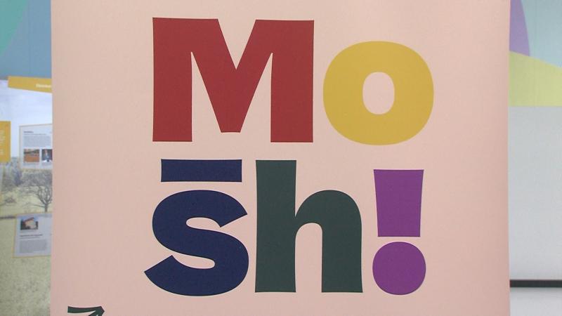 Mosh! tehnološki vikend za razvoj i jačanje IT industrije u Osijeku