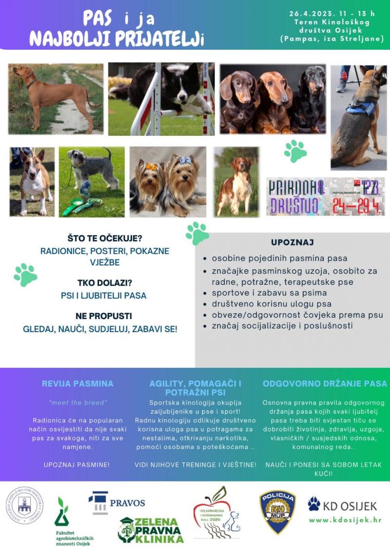 Pas i ja najbolji prijatelji